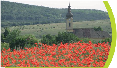 Bemutatkozás